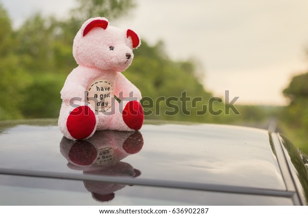 teddy bear on\
car