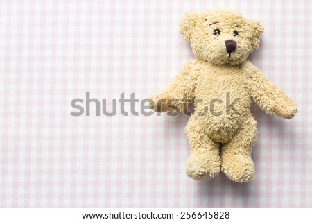 the teddy bear on checkered background