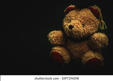dark teddy bear