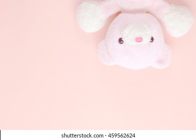 Teddy Bear On Pastel Background Stock Photo 459562624 | Shutterstock