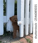 Teddy Bear peaking out through a white garden gate on an adventure