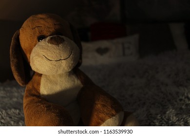 Teddy Bear Photo Shoot Multiple Teddy Stock Photo 1163539930 | Shutterstock