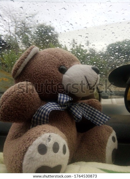 teddy bear photographed when leaned into the car
window it rains