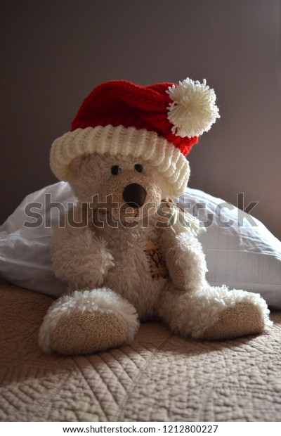 red teddy bear with cap