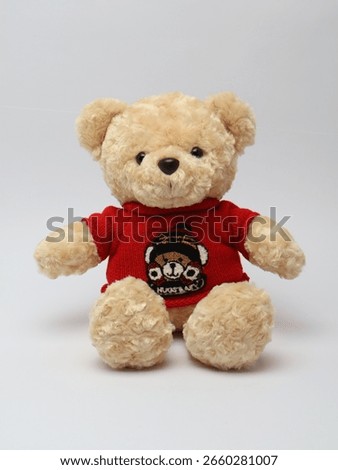Teddy Bear in Red Sweater