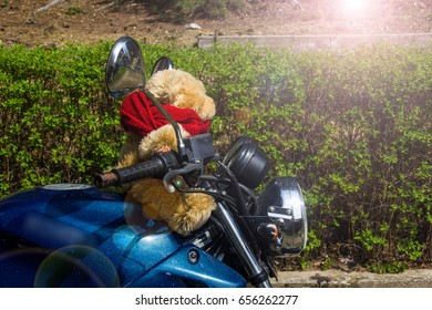 Teddy Bear Ride Motorcycle