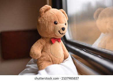 teddy bear rides in a train on a journey. Adventure. Story. Positive. Railway. Childhood. Lifestyle. copy space.
