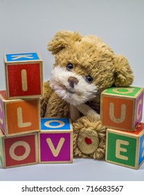 bear that says i love you