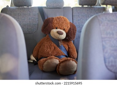 Teddy Bear, Seatbelt And Safety On The Back Seat Of A Car While On A Road Trip, Journey And Travel With Transport, Insurance And Vehicle. Passenger, Protect And Safe Driving With A Stuffed Animal Toy