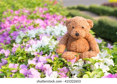 Teddy Bear Sit Among Flower Park Stock Photo 415322653 | Shutterstock