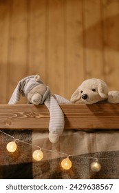 The teddy bear sits forlorn as his friend peacefully sleeps. In the quietude, the stuffed companion longs for the warmth of shared moments and the joy of companionship.