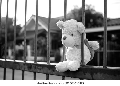 Teddy bear sitting middle fence black and white image. poster card for broken heart couple, sad, lonely, international missing Children, strong, gloomy day. alone unwanted cute doll lots.