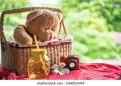 Teddy Bear Sitting In Picnic Basket