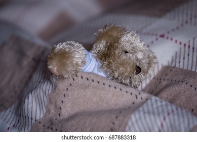 teddy bear sleeping bed price