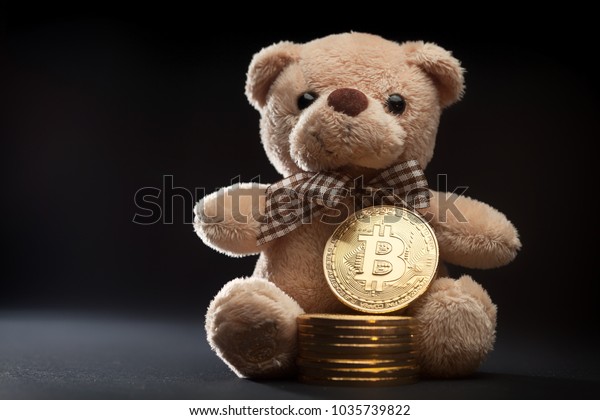 teddy bear coin