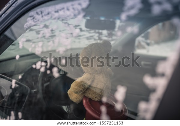 The\
Teddy bear is a student drives a car in\
wintertime