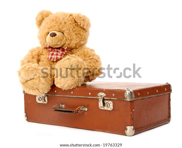 teddy bear suitcase