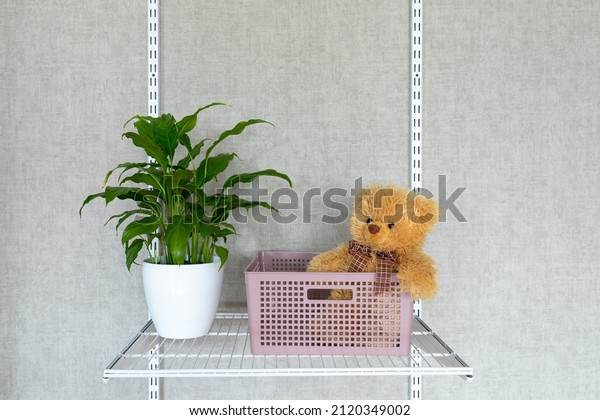 A teddy bear toy in a plastic basket and a\
houseplant spathiphyllum on a mesh hanging shelf. Modern storage\
systems in the children\'s\
room.