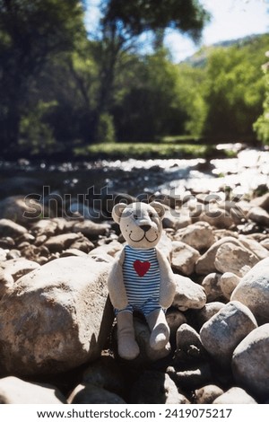 teddy bear toy sits in nature by the river in summer. Concept of travel