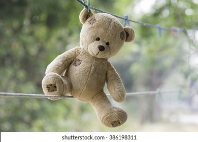 teddy bear clothing line