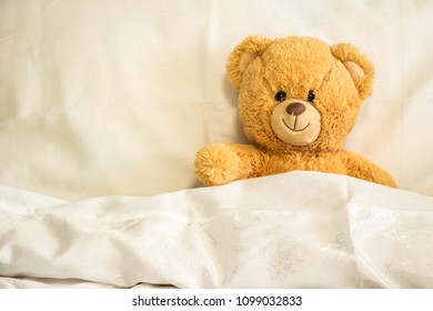 teddy bear under blanket