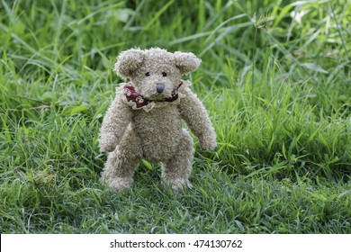 Teddy bear walking in the grass.