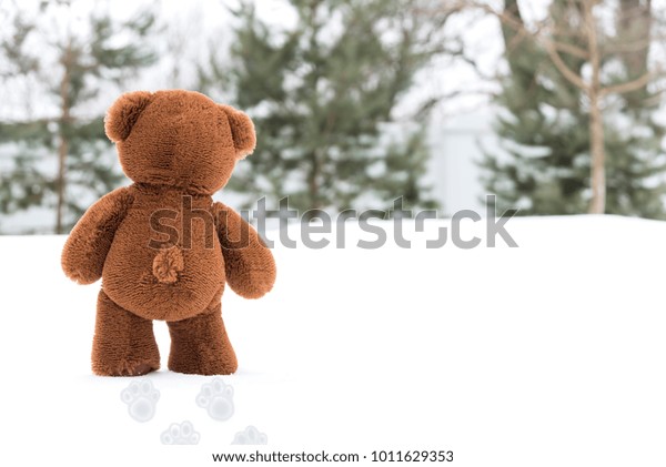 walking teddy bear