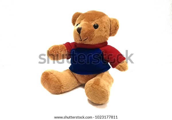 teddy bear with blue shirt