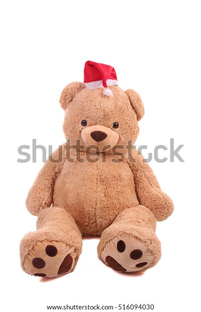 teddy bear with santa hat