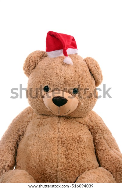 teddy bear with santa hat