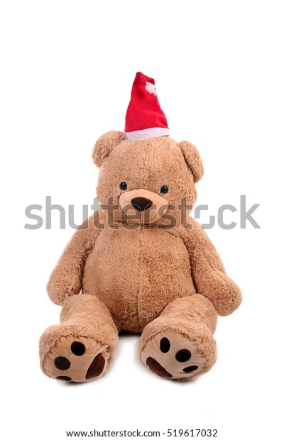 teddy bear with santa hat