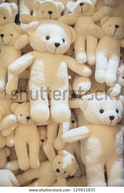 teddy bear white color