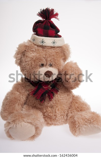 teddy bear with hat and scarf