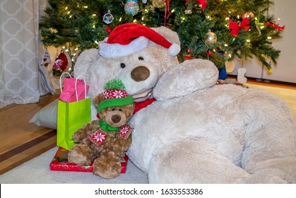 Teddy Bears Cuddle Under The Christmas Tree