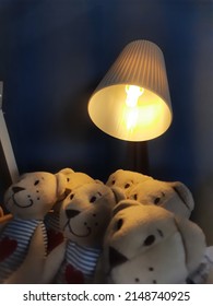 Teddy Bears Gather Like Basking In The Sun Which Is In Fact Only The Light Of A Lamp.
