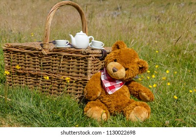 Teddy Bear's Picnic in a field of yellow buttercups with traditional wicker basket with teapot, white cups and saucers. Cute bear with red and white napkin.  Landscape.