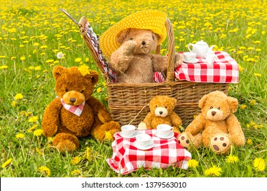Teddy Bear's Picnic in Summer with bright yellow dandelions in lush green meadow.  Red and white gingham tablecloth.  Concept: Happy, outdoors, childhood.  Landscape, horizontal. Space for copy.
