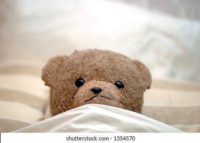 best teddy bear to sleep with