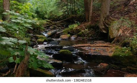 Teddy Creek Idaho Panhandle Forest