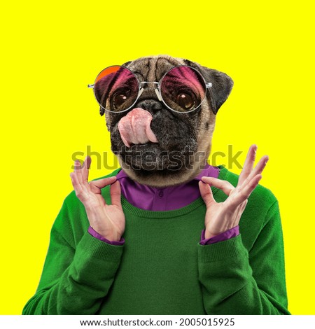 Teddy, hipster. Contemporary artwork, conceptual artcollage. Man headed by dog head isolated on yellow background. Trendy colors, copyspace for advertising. Fashion, emotions, ad, sales, surrealism