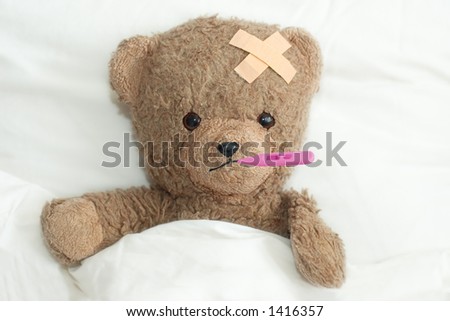 Teddy in hospital