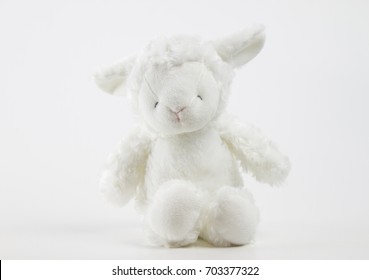 teddy lamb for babies - Powered by Shutterstock