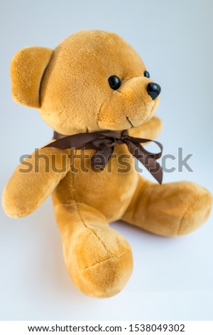 Tedy bear or Teddy bear doll isolated on white background