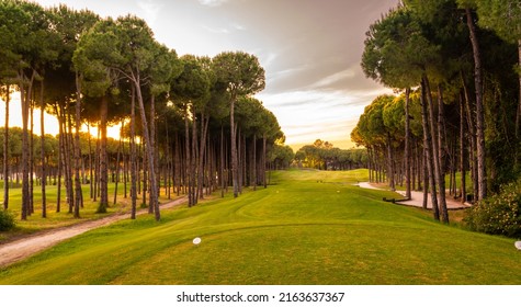 Tee box area at golf course at sunset with beautiful sky. Scenic panoramic view of golf fairway. Golf field with pines