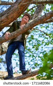 Teen Boy Climbing In A Tree, Bright Sunlight, Beautiful Day