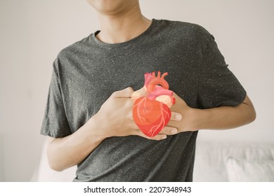 Teen Boy Clutching Chest With Heart Anatomy, Heart Attack, Heart Disease, Health Concept