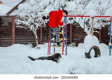 Teen Boy In Red Winter Jacket Is Playing With His Black Labrador Retriever Dog At Home Yard With A Lot Of Snow. Winter Activity And Animal Life Concept. Focus Is At The Boy.