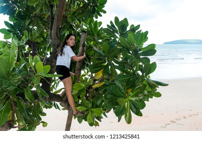 Teen Climbing Tree At The Beach