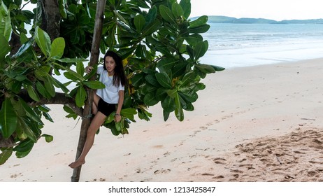 Teen Climbing Tree At The Beach