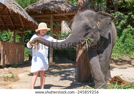 Similar – Image, Stock Photo be small Baby elefant